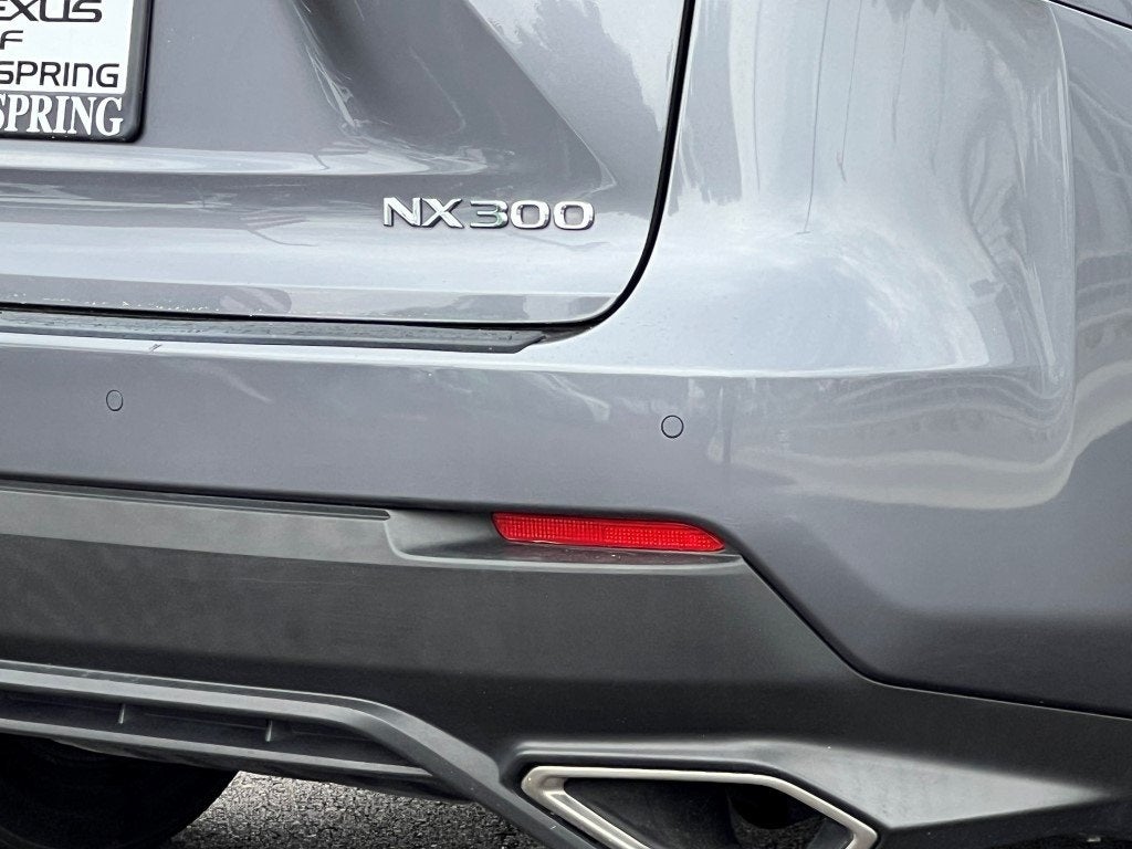 2020 Lexus NX 300 Base 300 Base